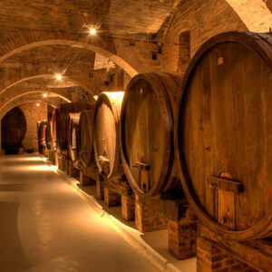 Degustazione vini e prodotti tipici presso cantine selezionate